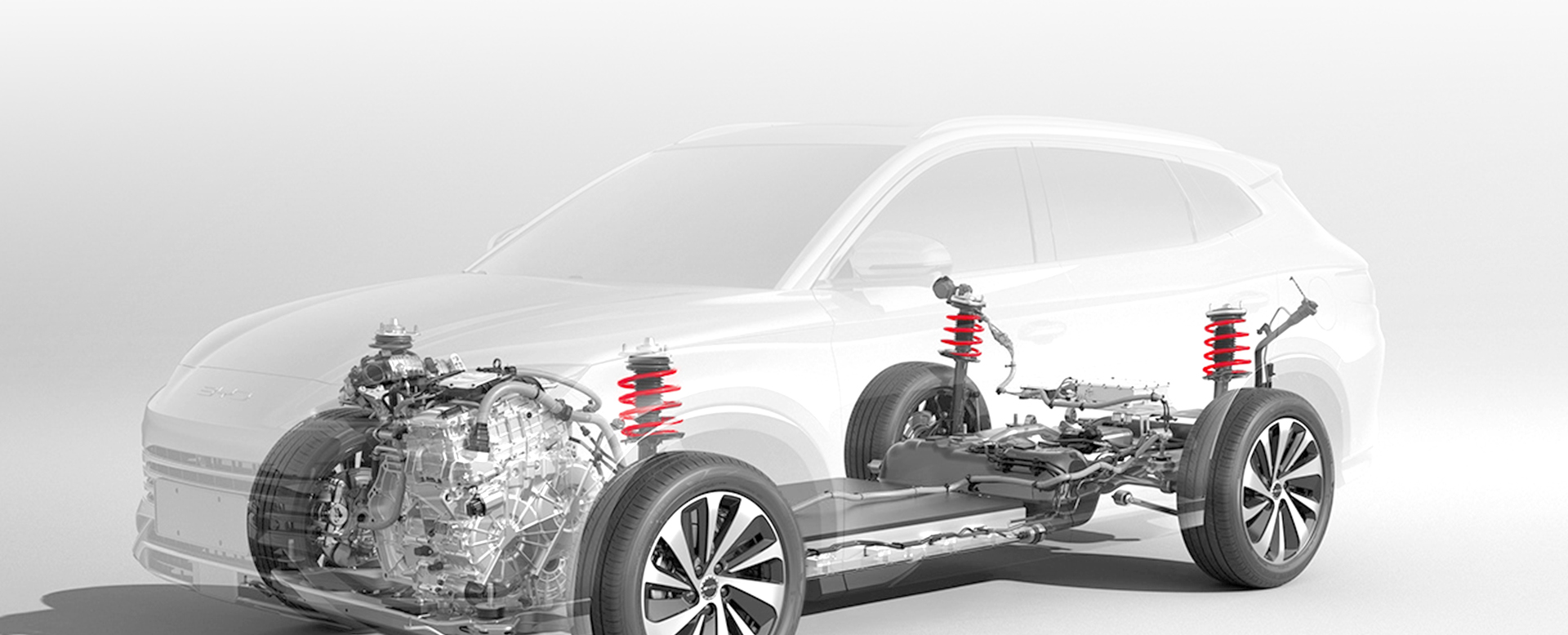 Zhejiang Zongheng Spring Co., Ltd.